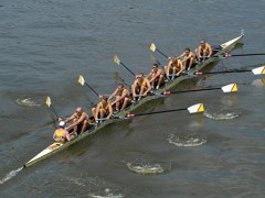 想要長壽做什么運動比較好 多做這3種運動有助于健康長壽