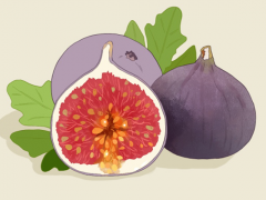 無花果是涼性還是熱性食物 吃無花果的禁忌