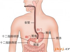 女人吃無(wú)花果的好處 無(wú)花果的營(yíng)養(yǎng)價(jià)值