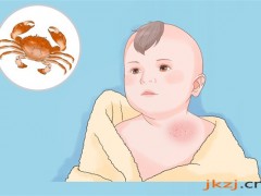 螃蟹的營養價值有哪些  螃蟹有什么功效
