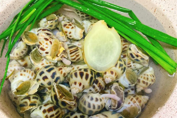 花螺的營養價值和功效 花螺是海鮮嗎