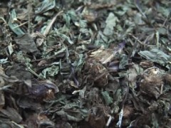 鱉甲膠的功效與作用