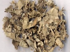 尋骨風的功效與作用