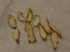 四葉參的功效與作用