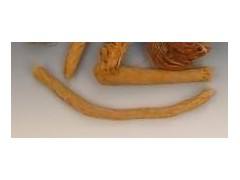 禹州漏蘆