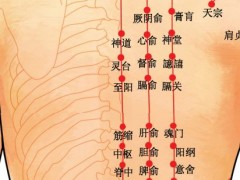 背穴，背穴準(zhǔn)確位置圖和作用及功效