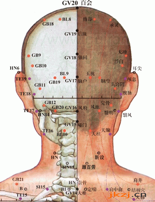 腦空穴：膽經(jīng)(圖文)