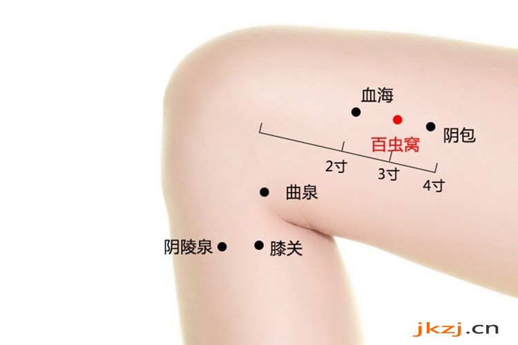 百蟲窩位置圖