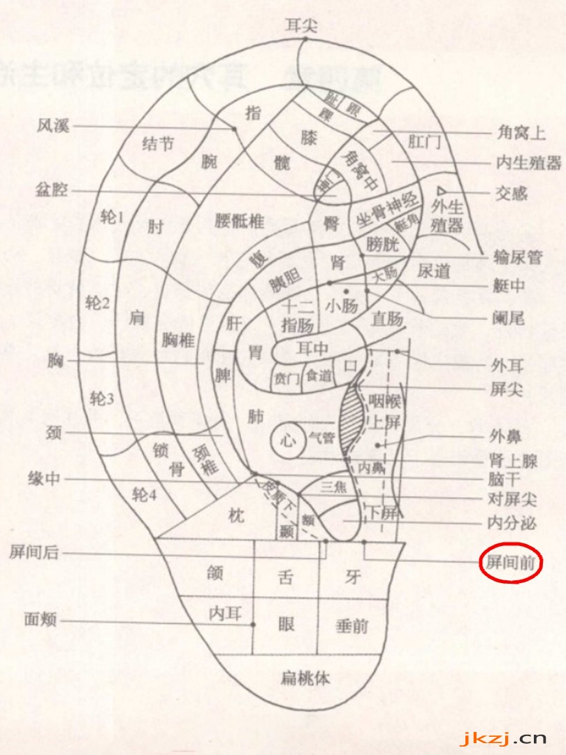 屏間前耳穴