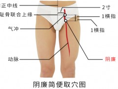 陰廉穴