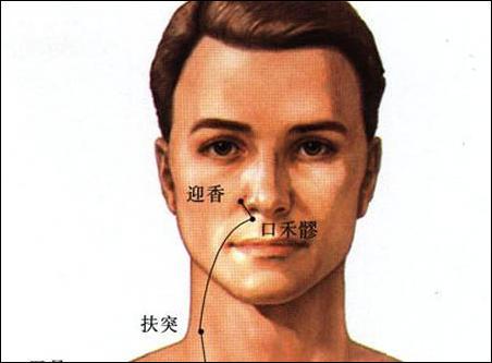 點(diǎn)擊查看口禾髎的大圖