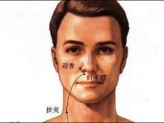 口禾髎穴，口禾髎穴準(zhǔn)確位置圖和作用及功效