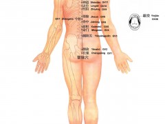 督脈穴，督脈穴準(zhǔn)確位置圖和作用及功效