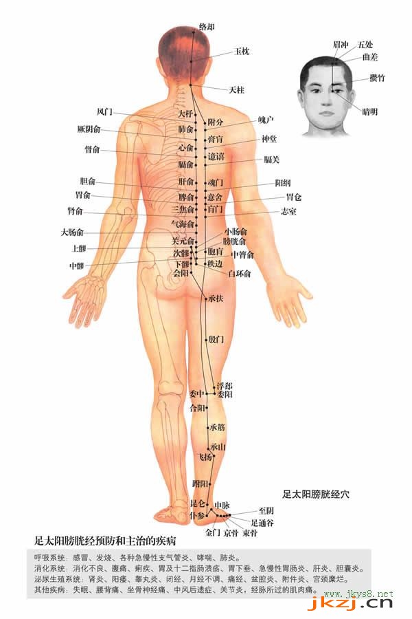 昆侖穴：膀胱經(圖文)