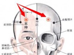 本神穴，本神穴準確位置圖和作用及功效