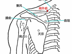 肩外俞穴，肩外俞穴準(zhǔn)確位置圖和作用及功效