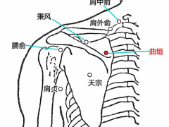 曲垣穴，曲垣穴準確位置圖和作用及功效