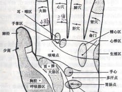 手心穴，手心穴準確位置圖和作用及功效