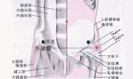 居髎穴準確位置圖