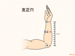 支正穴，支正穴準確位置圖和作用及功效