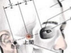 上關穴，上關穴準確位置圖和作用及功效