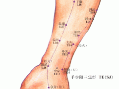 內(nèi)陽池穴，內(nèi)陽池穴準(zhǔn)確位置圖和作用及功效