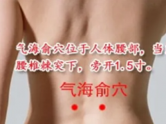 氣海俞穴，氣海俞穴準確位置圖和作用及功效