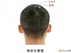 絡卻穴，絡卻穴準確位置圖和作用及功效