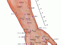 會宗穴，會宗穴準確位置圖和作用及功效