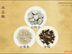 牽正散處方用法用量及主治功能