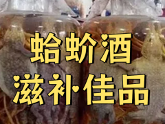 蛤蚧酒(治療陽痿藥酒配方)