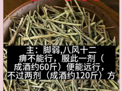 防風松葉酒(治療關節疼痛藥酒配方)