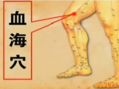 后血海穴，后血海穴準確位置圖和作用及功效