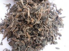馬齒莧的功效與作用，馬齒莧的圖片，馬齒莧用法及注意事項