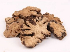 川芎的功效與作用，川芎的圖片，川芎用法及注意事項