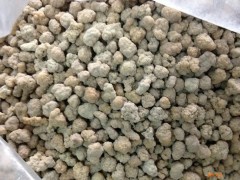 腎精子的功效與作用，腎精子的圖片，腎精子用法及注意事項(xiàng)