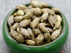 蒼耳子的功效與作用，蒼耳子的圖片，蒼耳子用法及注意事項